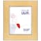 Frame USA Stainless Gold Single Image Picture Frame